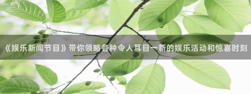 华润娱乐注册链接：《娱乐新闻节目》带你领略各种令人耳目一新的娱乐活动和惊喜时刻