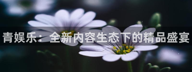 华润娱乐官方网站入口：青娱乐：全新内容生态下的精品盛宴