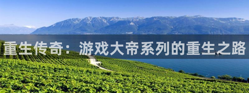 华润娱乐注册链接：重生传奇：游戏大帝系列的重生之路