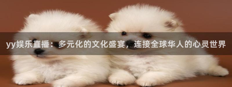 华润娱乐官方网站入口：yy娱乐直播：多元化的文化盛宴，连接全球华人的心灵世界
