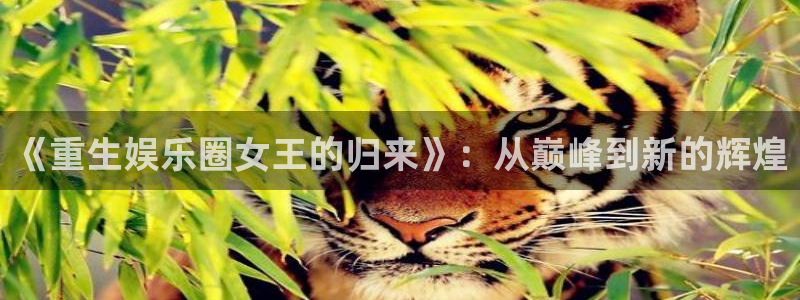 首页华润娱乐：《重生娱乐圈女王的归来》：从巅峰到新的辉煌